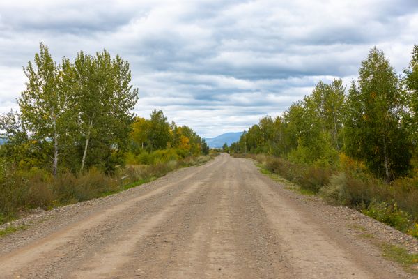 Dirt Road Repair in Hendersonville