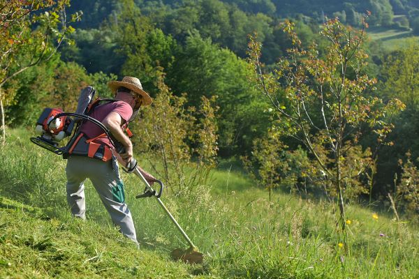 Slope Trimming in Hendersonville